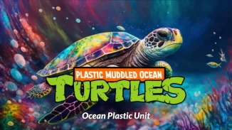 Ocean Plastic Unit